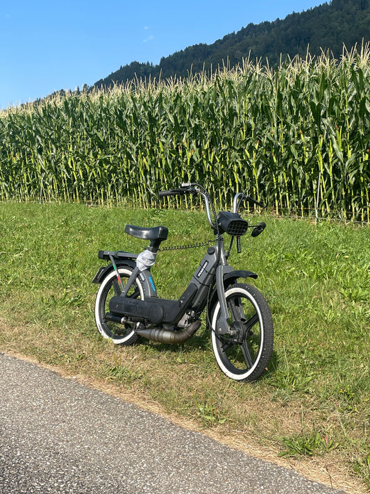 Dealy Piaggio ciao