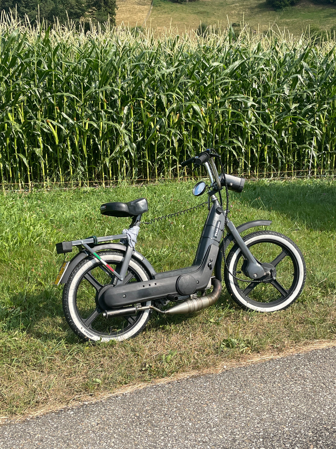 Dealy Piaggio ciao