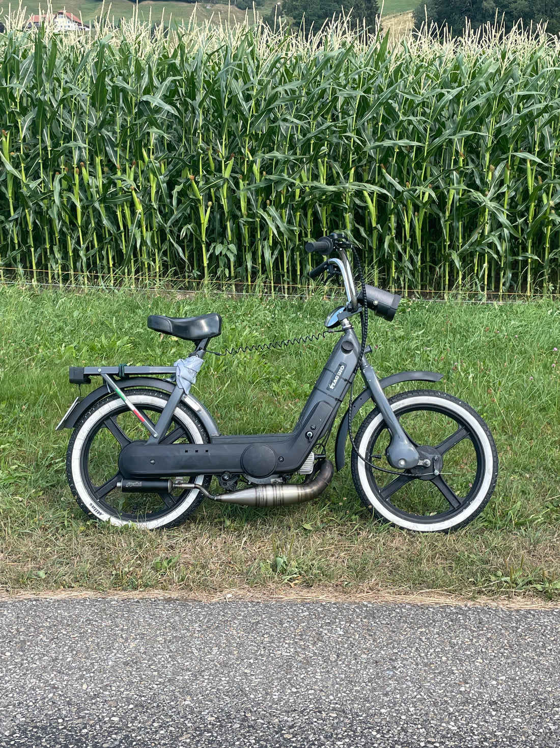 Dealy Piaggio ciao